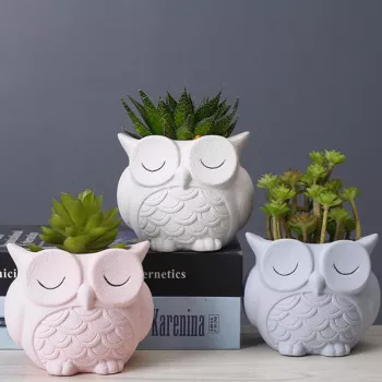 Creative Owl Ceramic Plant Pot for Cozy Small Spaces